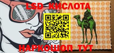 герыч Новодвинск