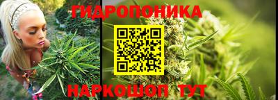 не бодяженный Новозыбков