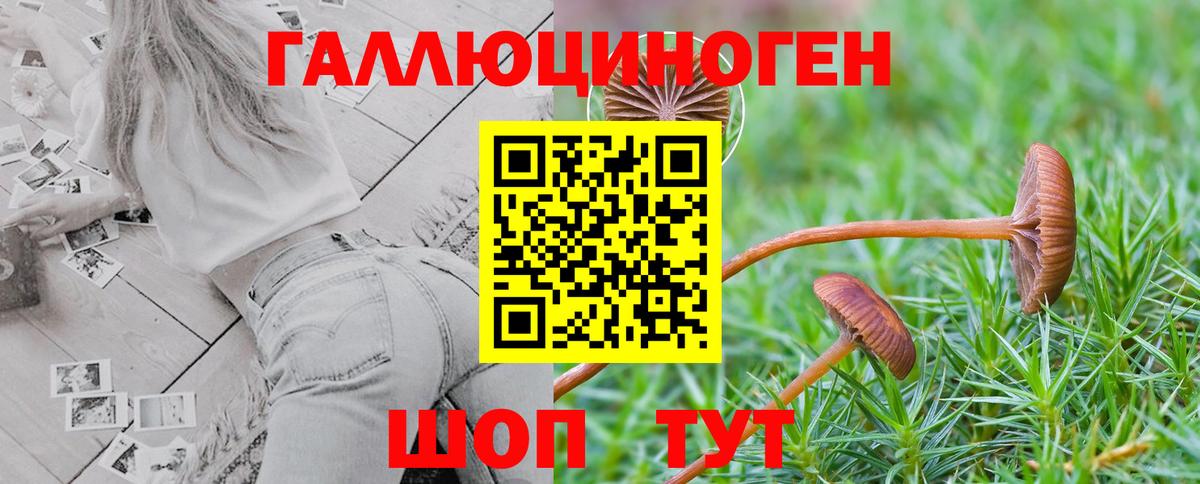 Галлюциногенные грибы Psilocybine cubensis Тольятти